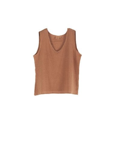 Buldan's-Asterıa Üst-Terra